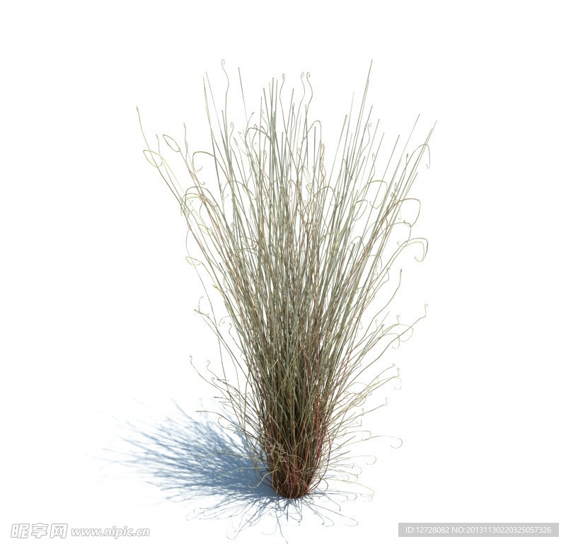 植物模型 草模型