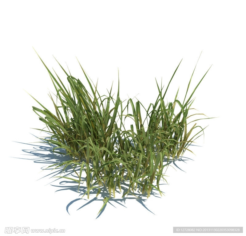 植物模型 草模型