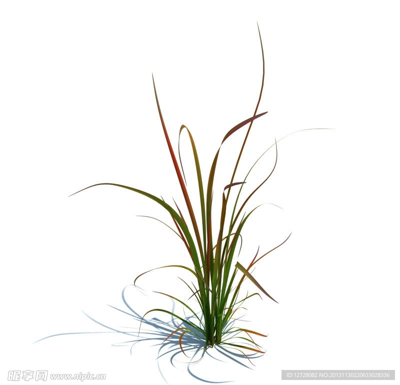 植物模型 草模型