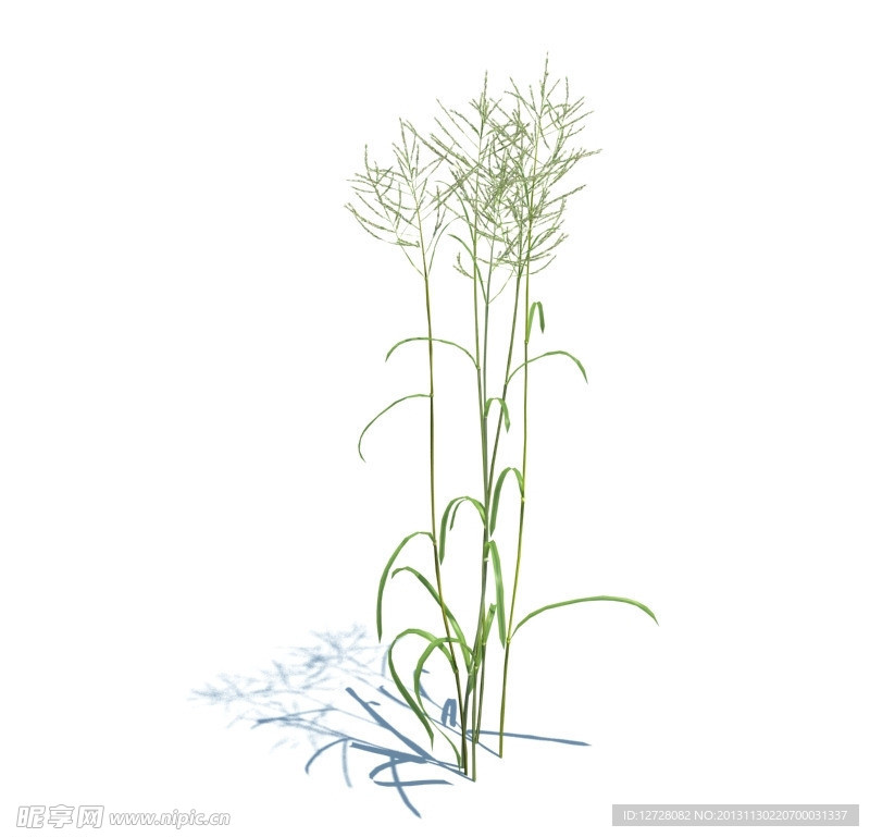 植物模型 草模型