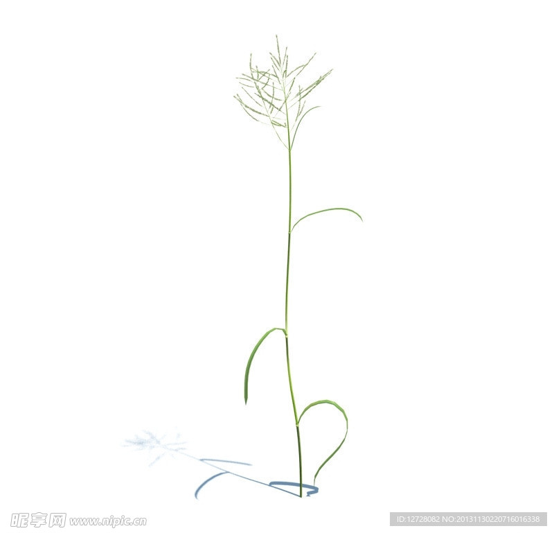 植物模型 草模型