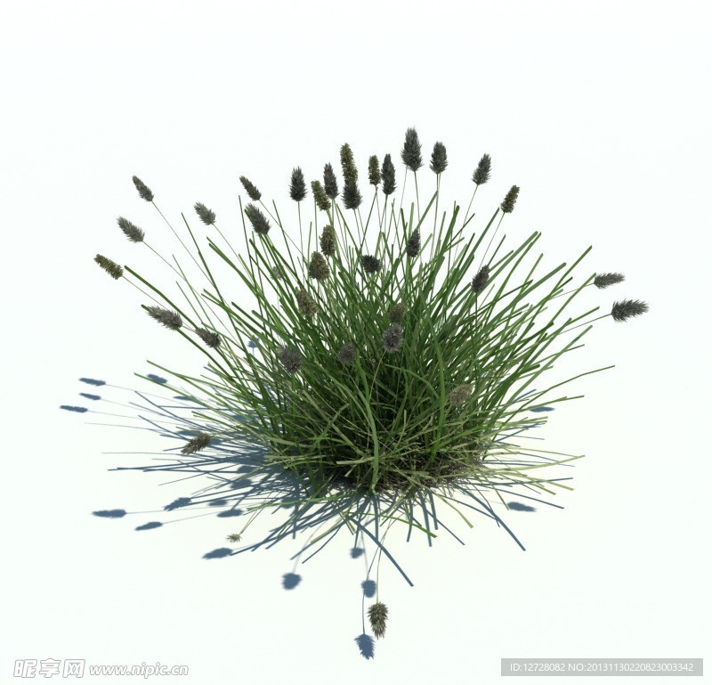 植物模型 草模型