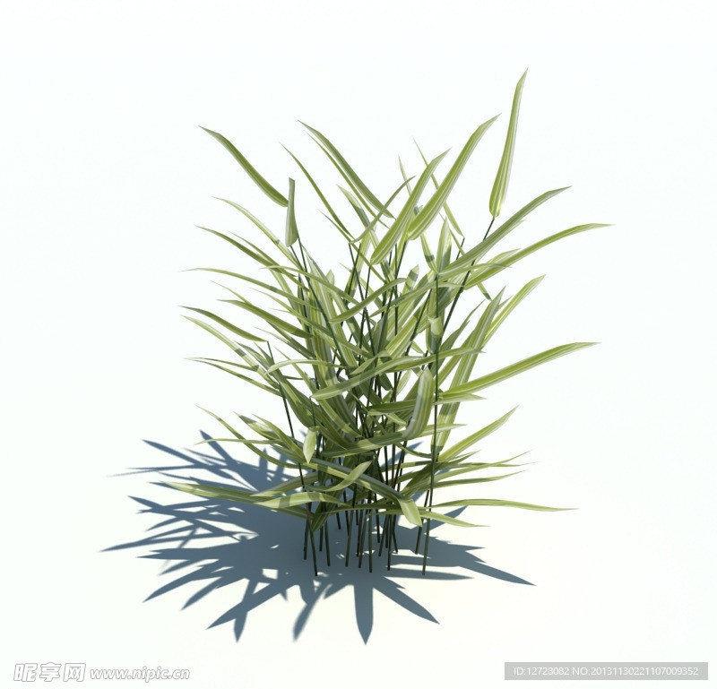 植物模型 草模型
