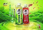 原叶绿茶 红茶海报