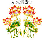 荷花