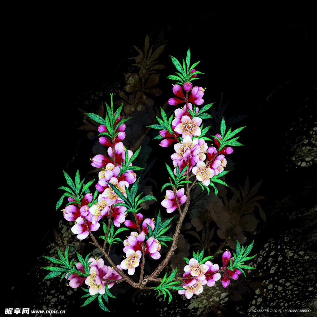 花型 花卉