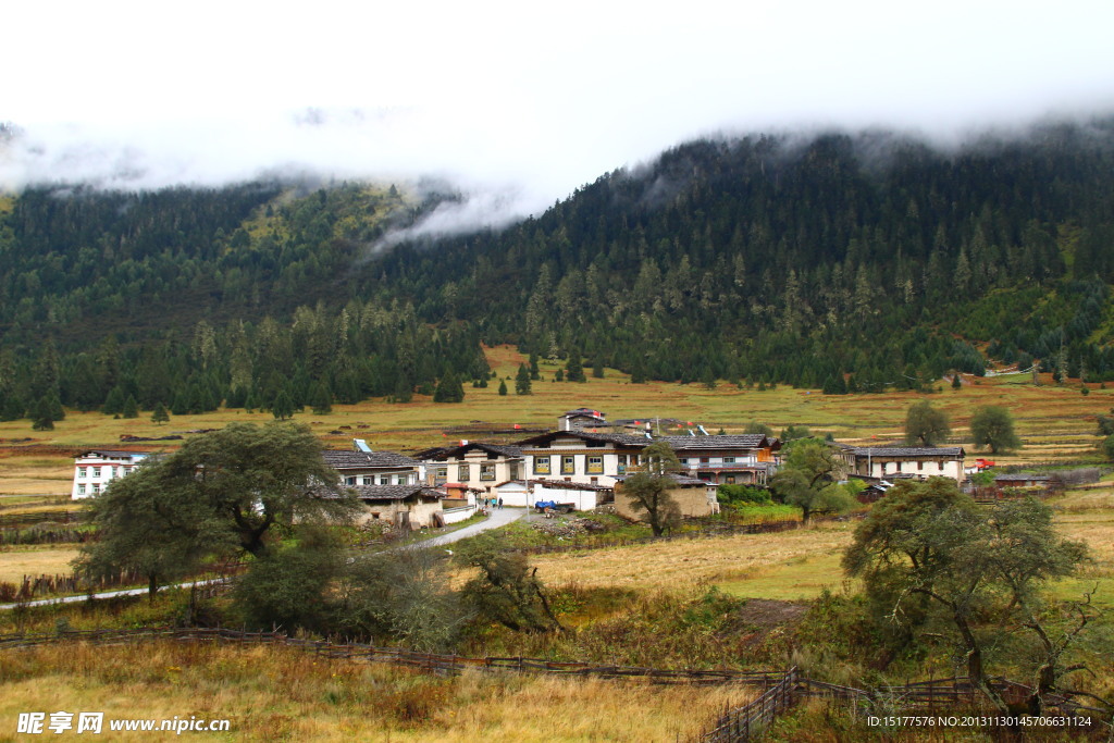 扎西岗村