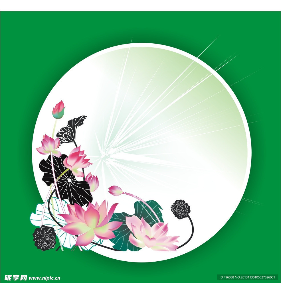 荷花