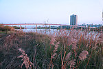 河堤公园