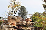 公园风景