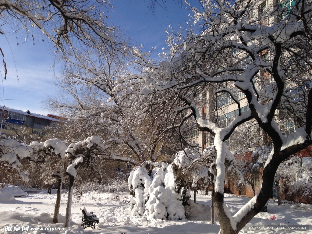 白雪