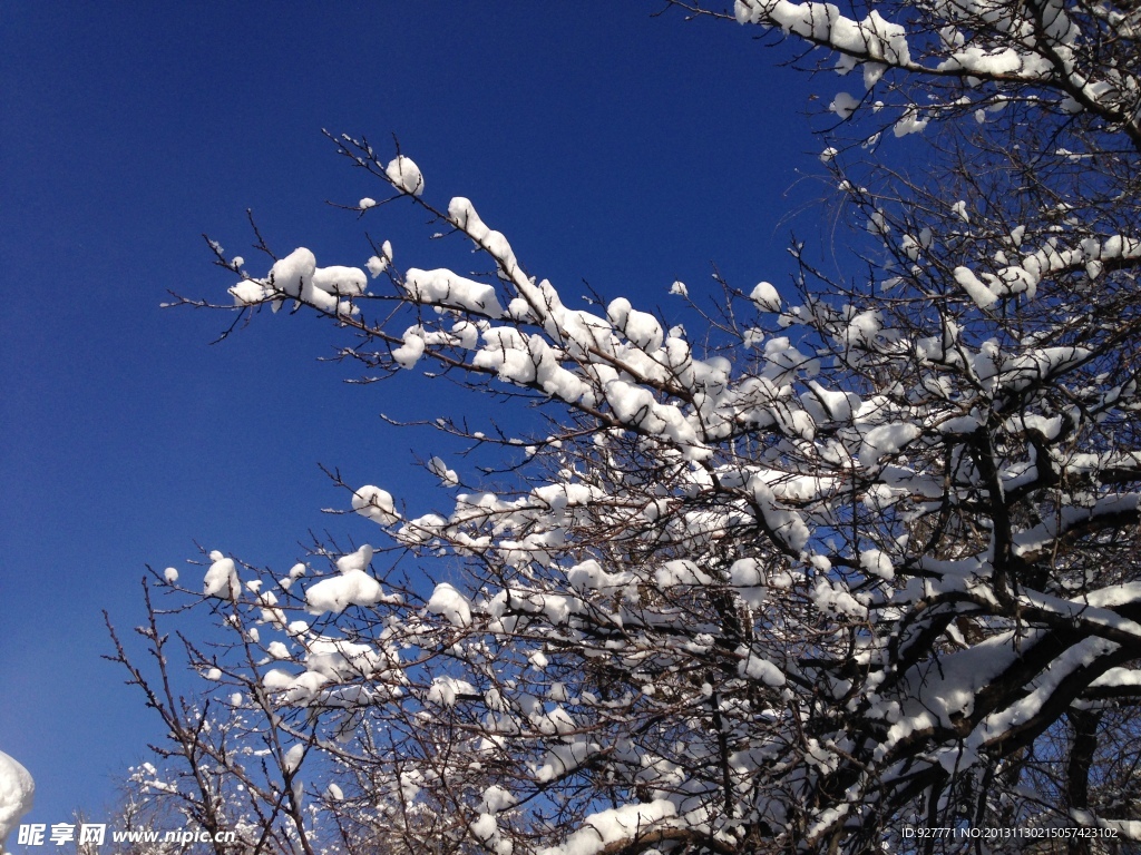 白雪