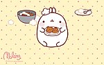 胖兔子