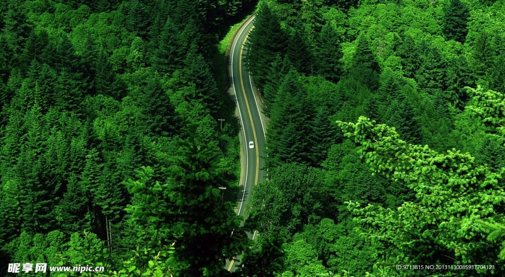 道路
