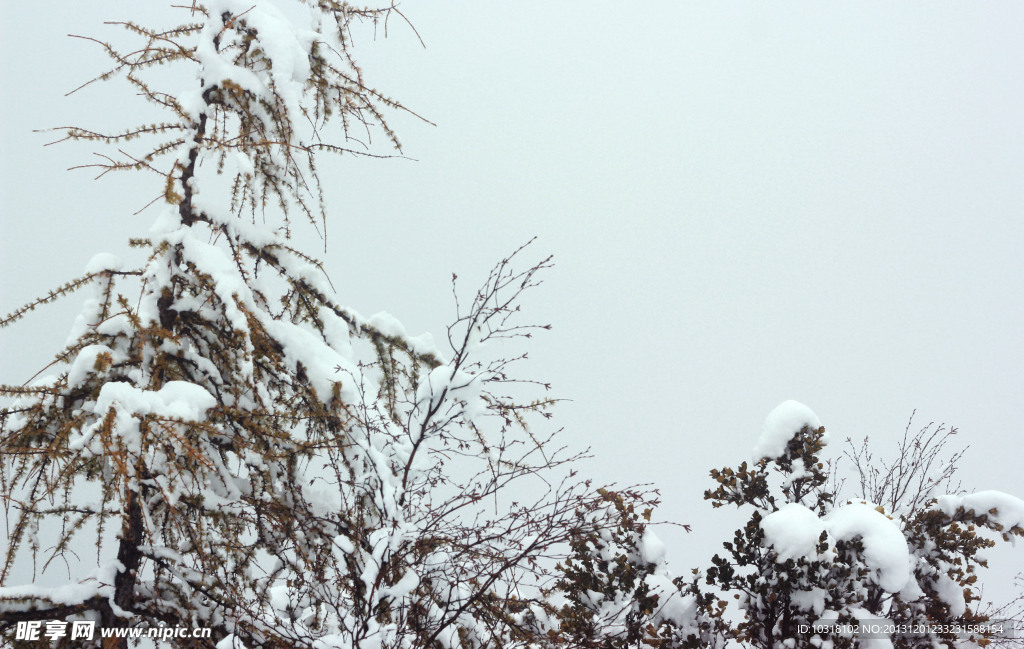 风光雪景