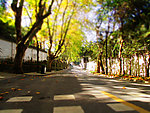 微缩摄影道路