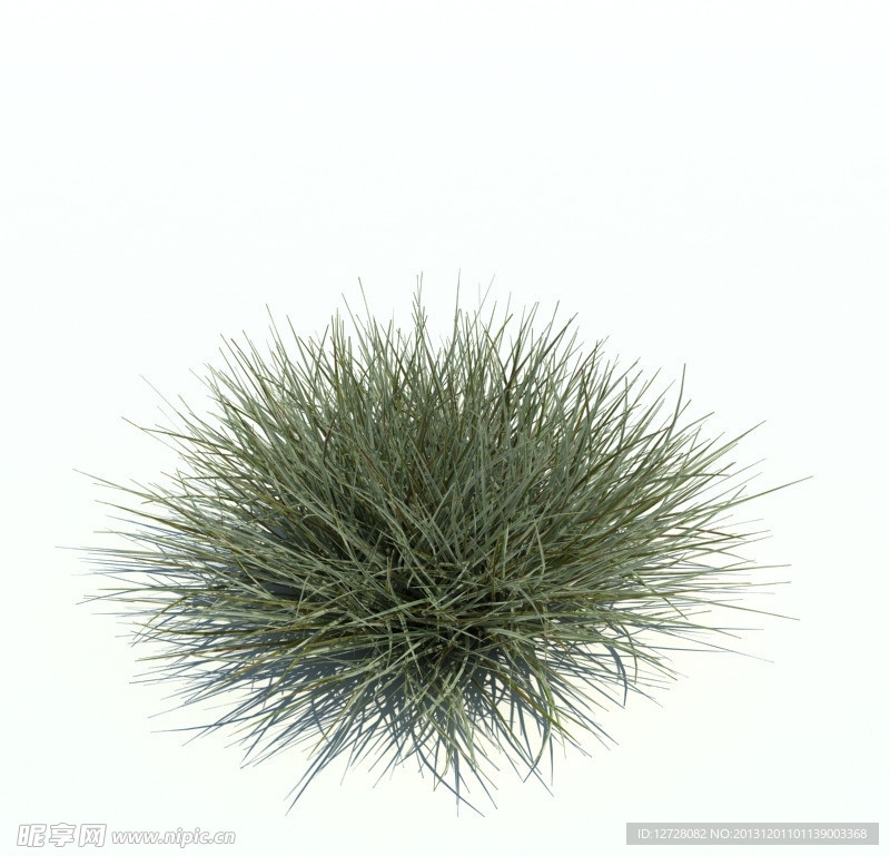植物模型 草模型