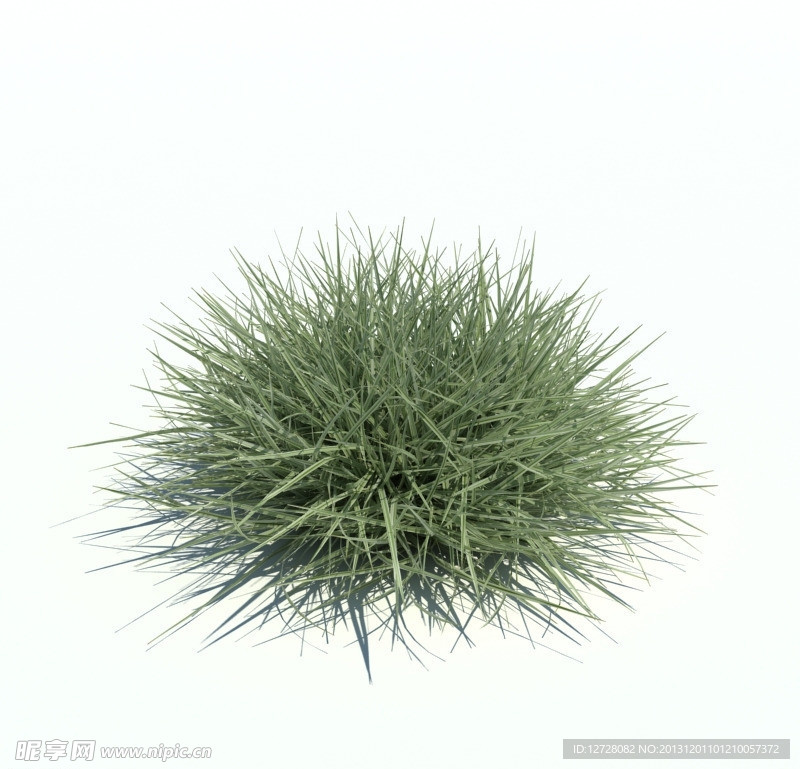 植物模型 草模型