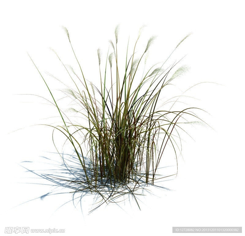 植物模型 草模型