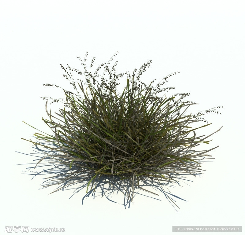 植物模型 小草模型