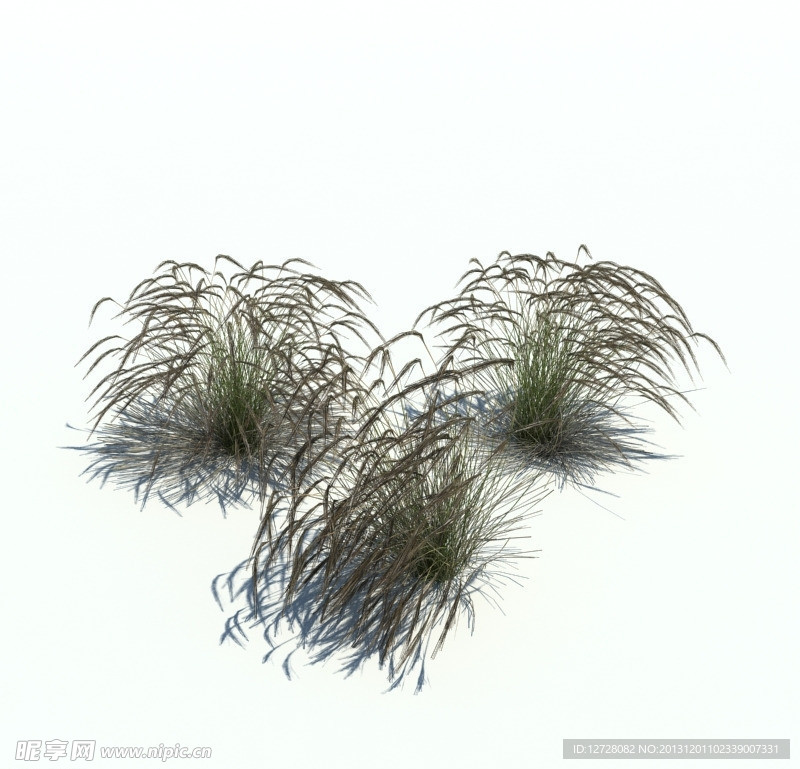 植物模型 小草模型