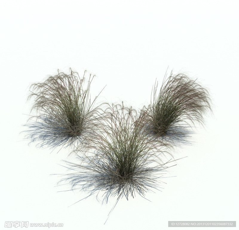 植物模型 小草模型