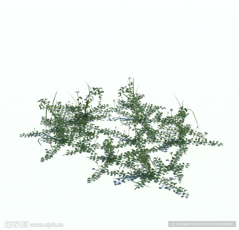 植物模型 小草模型