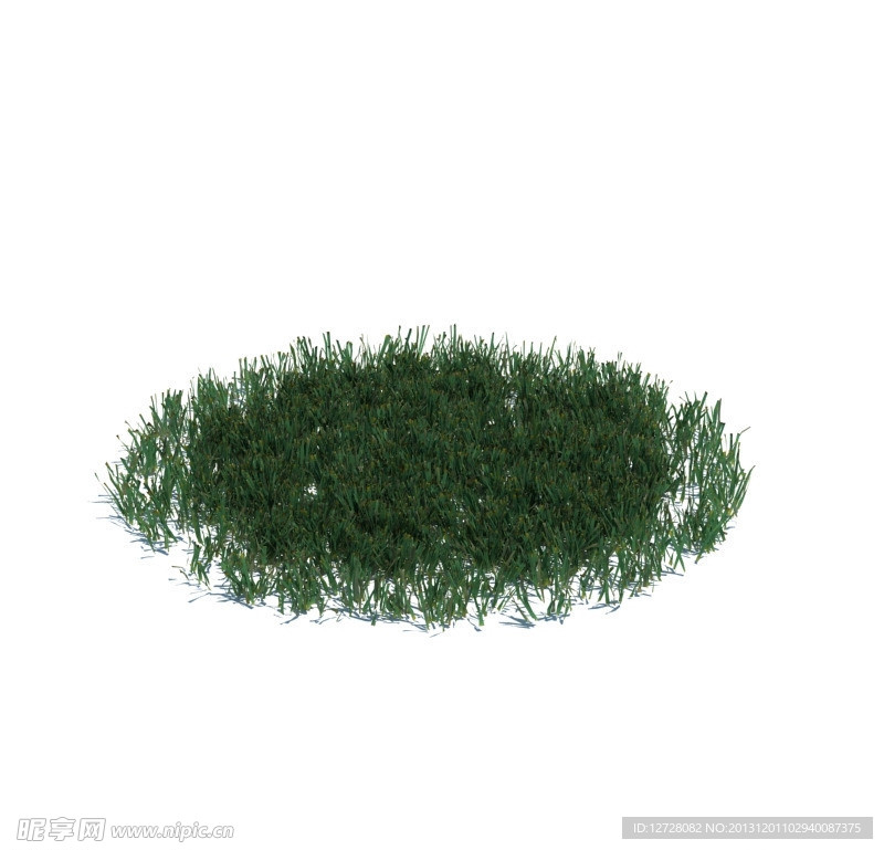 植物模型 小草模型
