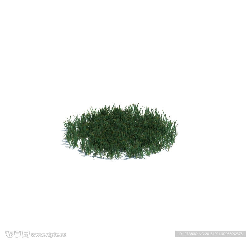 植物模型 小草模型