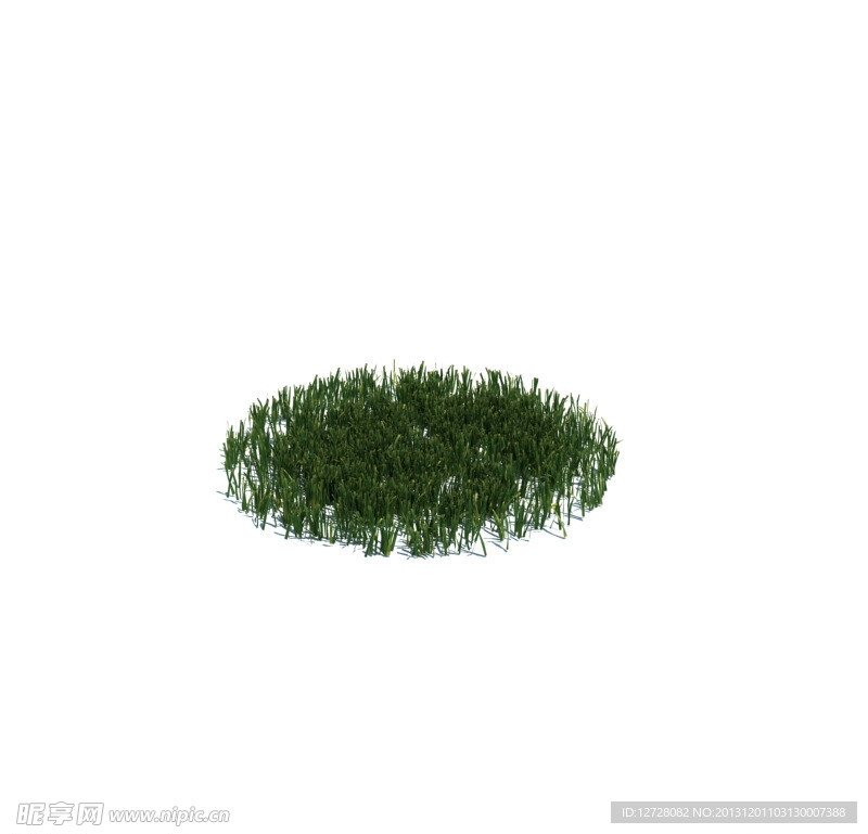 植物模型 小草模型