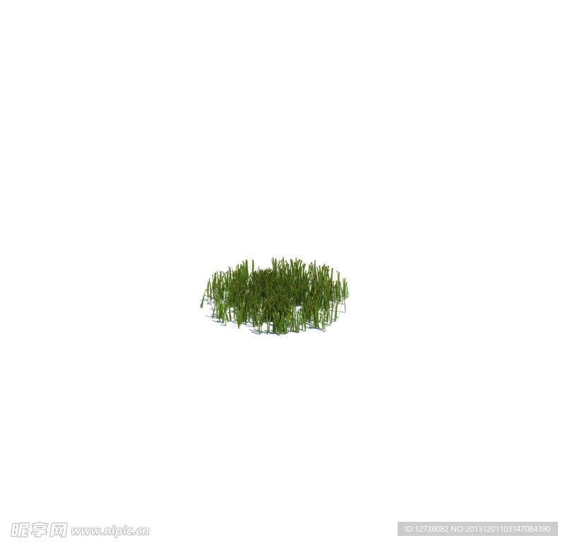 植物模型 小草模型