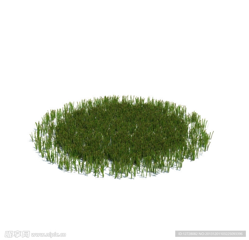 植物模型 小草模型
