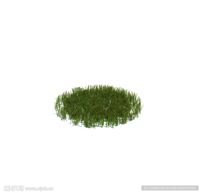 植物模型 小草模型