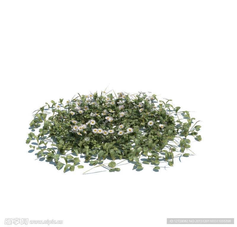 植物模型 小草模型