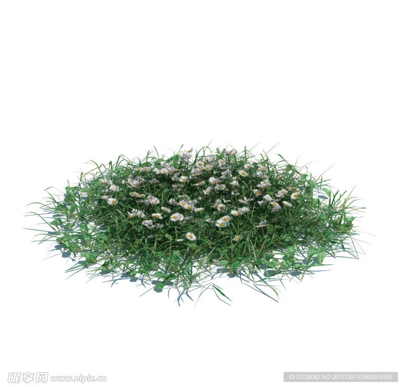 植物模型 小草模型
