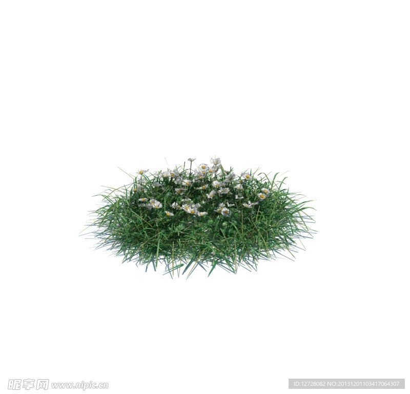 植物模型 小草模型