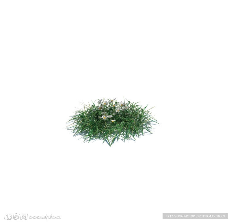 植物模型 小草模型