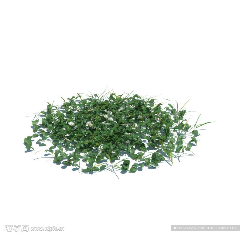 植物模型 小草模型
