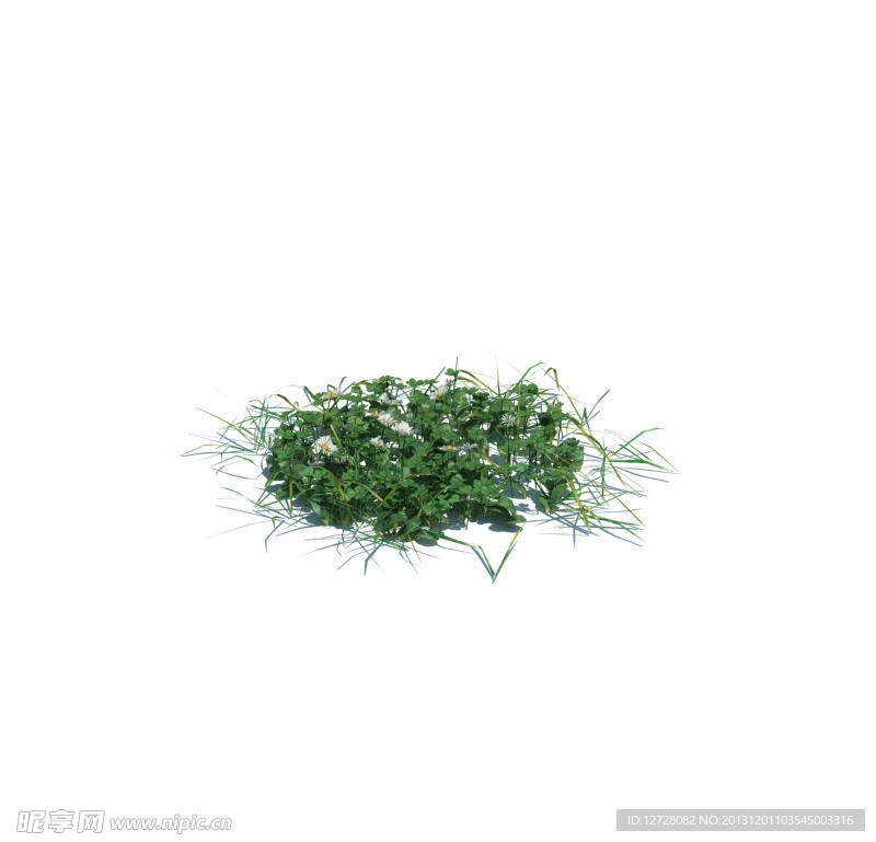植物模型 小草模型
