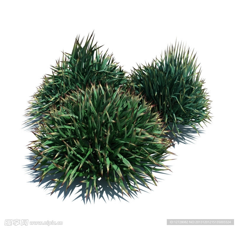 植物模型 小草模型