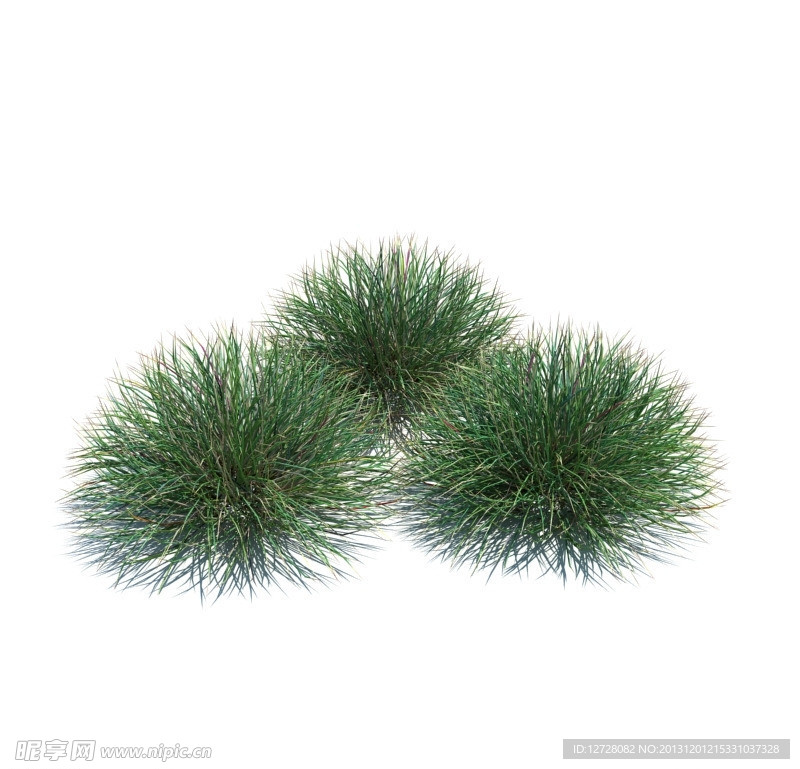 植物模型 小草模型