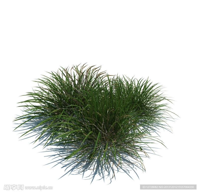 植物模型 小草模型