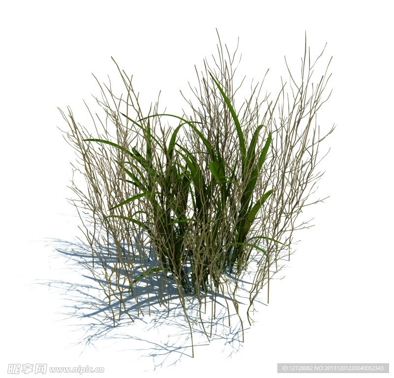 植物模型 小草模型
