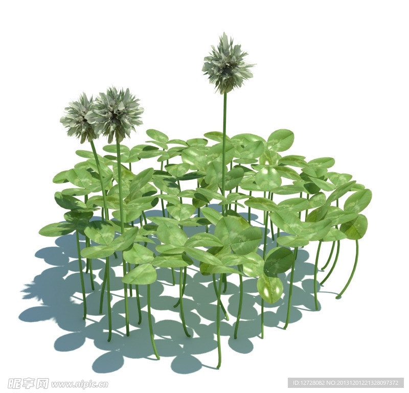 植物模型 小草模型