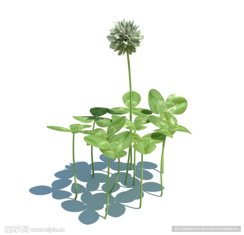 植物模型 小草模型