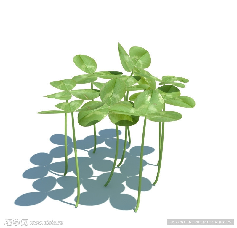 植物模型 小草模型