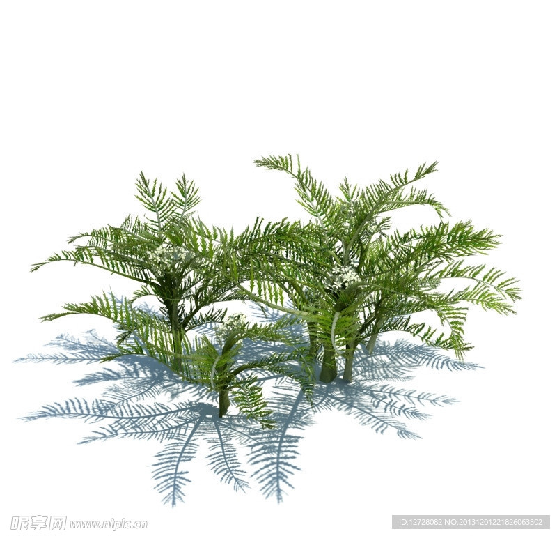 植物模型 小草模型