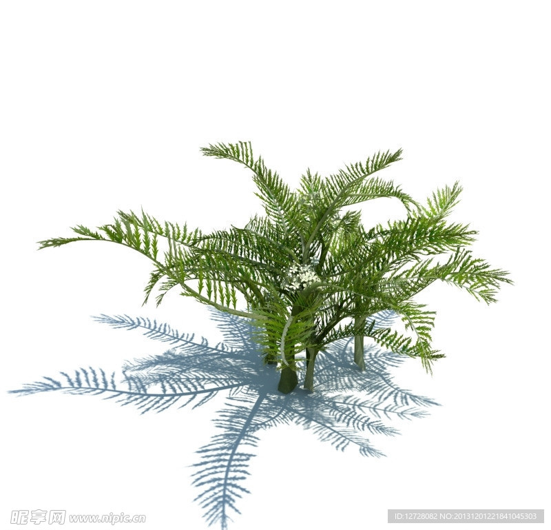 植物模型 小草模型