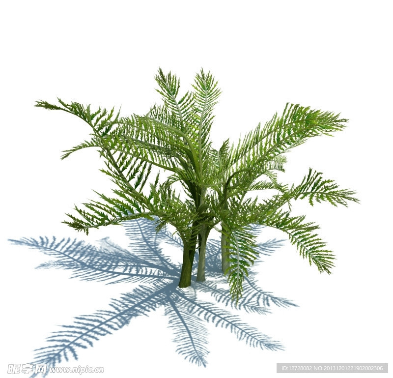植物模型 小草模型