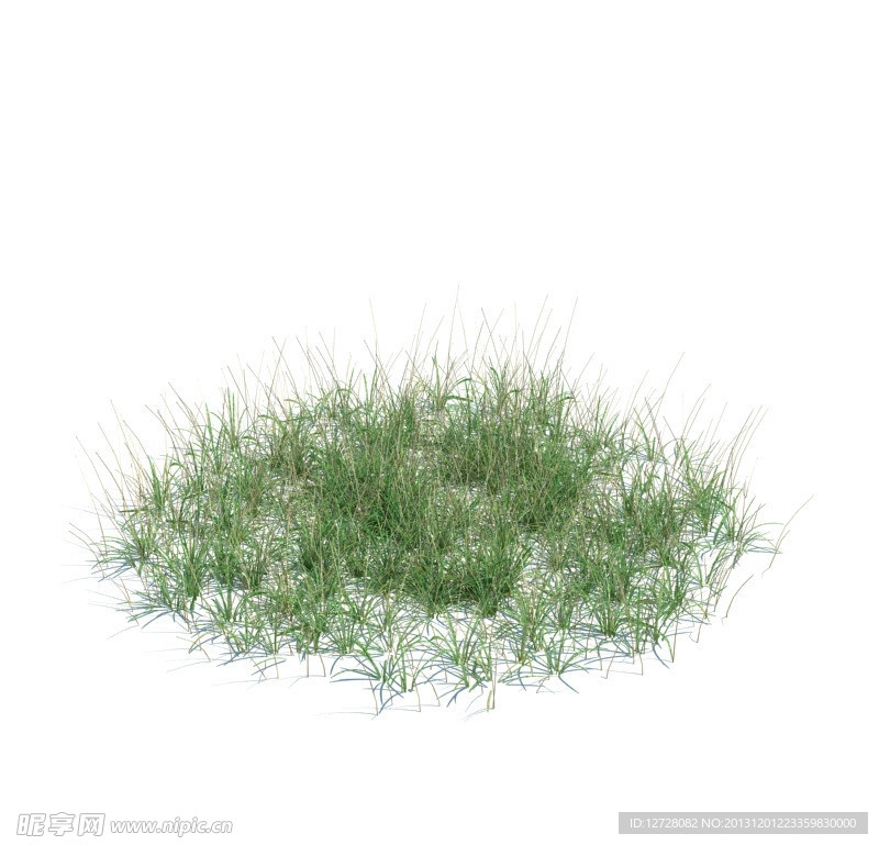 植物模型 小草模型